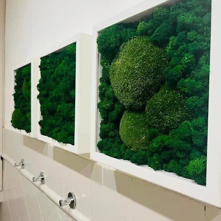Apartamento Barco Florença